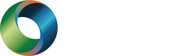 logo Dzjie footer